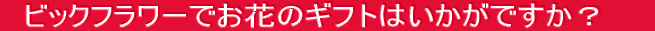 @rbNt[ŕ̓Mtg͂łH@