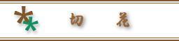 o100{@1980~`